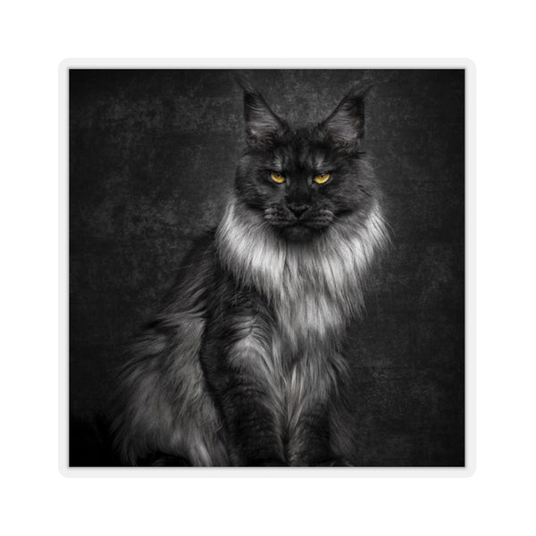 Black silver Maine Coon - Sticker