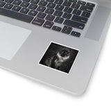 Black silver Maine Coon - Sticker